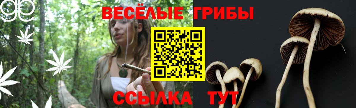Псилоцибиновые грибы GOLDEN TEACHER  Вход с VPN  Екатеринбург 